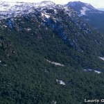 west from top Parsons track 8-91 LGo.jpg